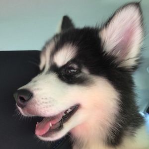 Meet your Posher, Carrie